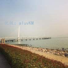 ζ
