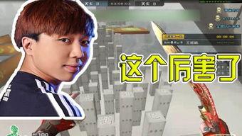 赵山河个人资料