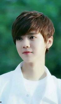 洪宗玄家庭背景,出身名门，传承家族荣耀的传奇人生